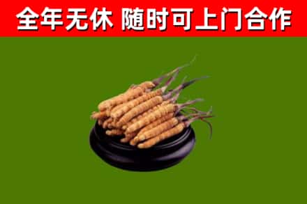 咸安区烟酒回收冬虫夏草.jpg